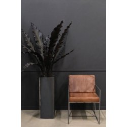 Moore lder loungestol