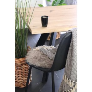 Ægte mushroom New Zealandsk lammeskindshynde