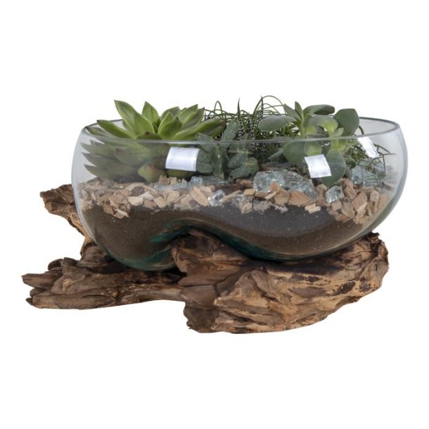 Vanddrbe i glas p trfod - : 26 cm