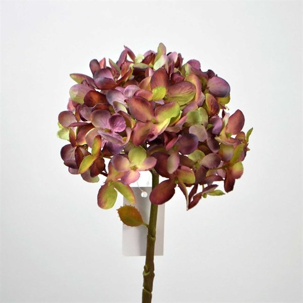Romantisk hortensia i burgundy og lys grn - 43 cm