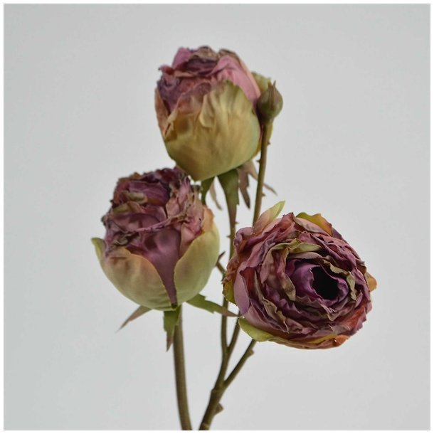 Rosengren i burgundy - 76 cm