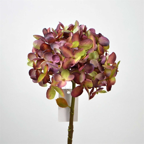 Romantisk hortensia i burgundy og lys grøn - 43 cm